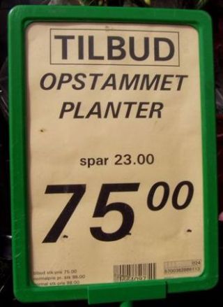 Opstammet planter