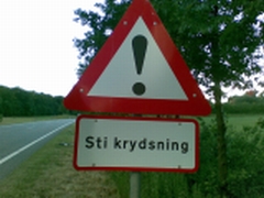 Sti krydsning